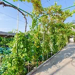 아파트 Luce *